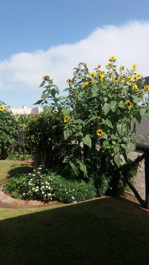וואלביס ביי Sunflower Self-Catering מראה חיצוני תמונה
