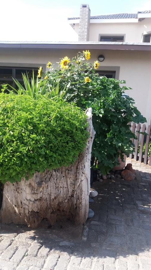 וואלביס ביי Sunflower Self-Catering מראה חיצוני תמונה