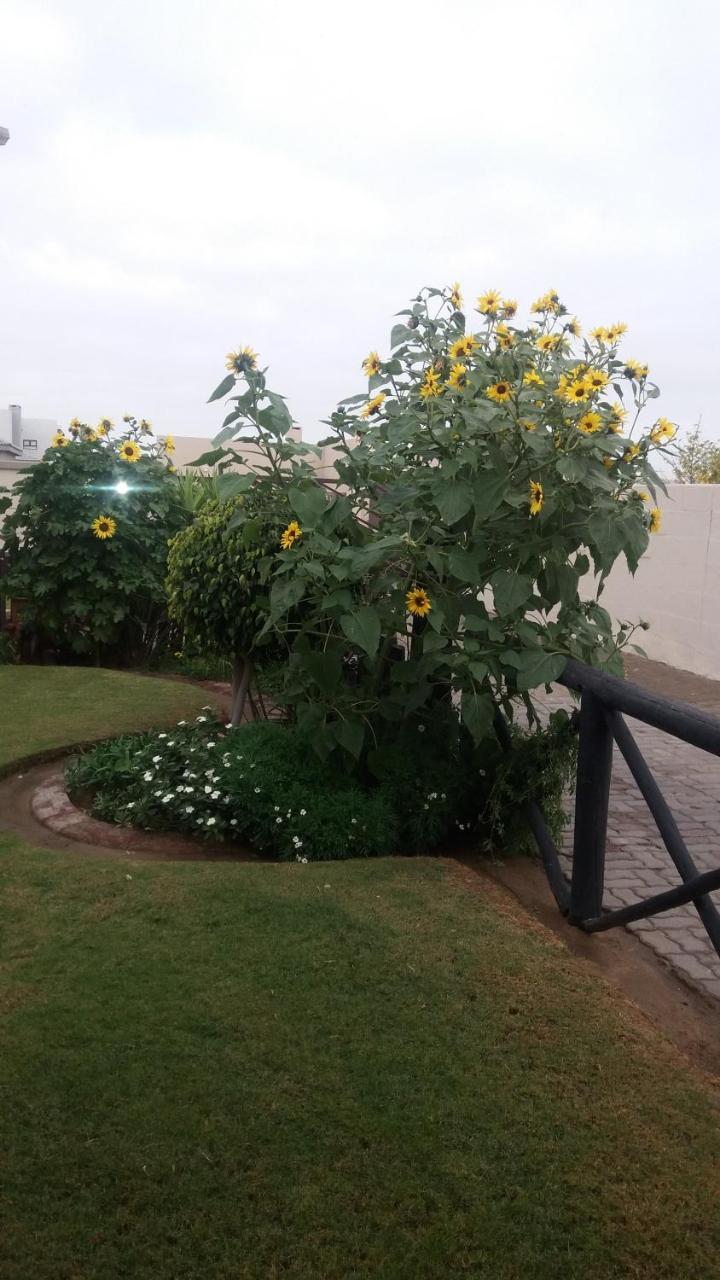 וואלביס ביי Sunflower Self-Catering מראה חיצוני תמונה